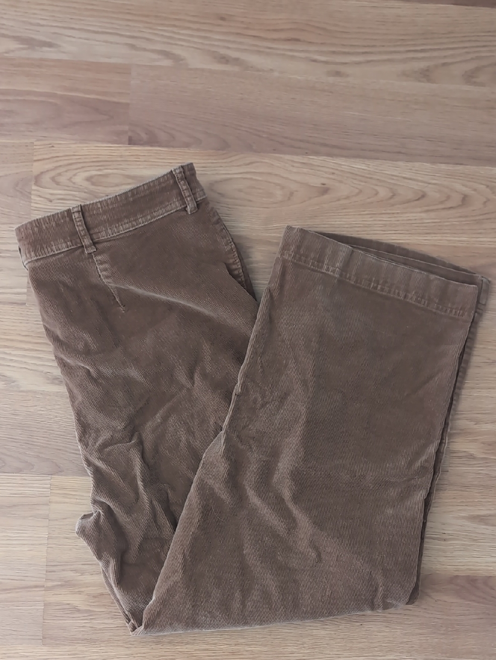 Everlane Cotton Corduroy Pants in Brown